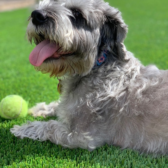 Meet your Posher, Melissa - Picture 2 of 3